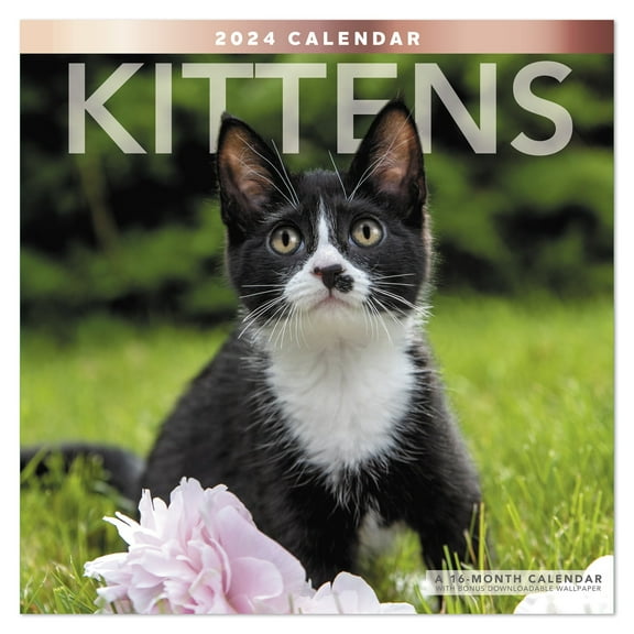 Kittens 2024 Monthly Wall Calendar 12 x 12 - Wall Calendars