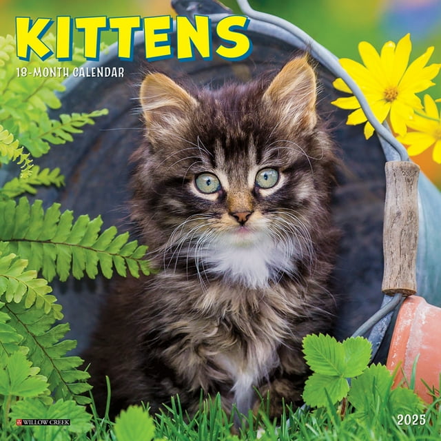 Kittens 2025 7 X 7 Mini Wall Calendar (Other) Walmart com Kittens 2025 7 X 7 Mini Wall Calendar (Other) Walmart com