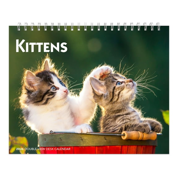 Kittens | 2026 7.5x6" Monthly Double-View Easel Desk Calendar | BrownTrout