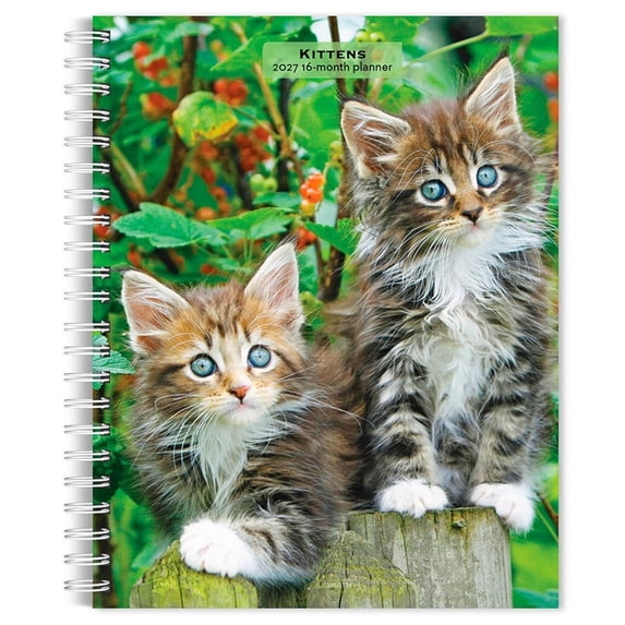 Kittens 2027 6 X 7.75 Inch Spiral-Bound Wire-O Weekly Engagement Planner Calendar New Full-Color Image Every Week, (Paperback)