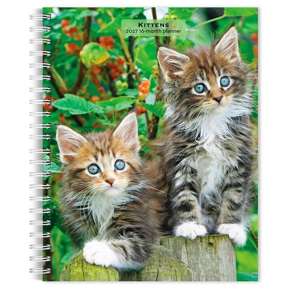 Kittens 2027 6 X 7.75 Inch Spiral-Bound Wire-O Weekly Engagement Planner Calendar New Full-Color Image Every Week, (Paperback)