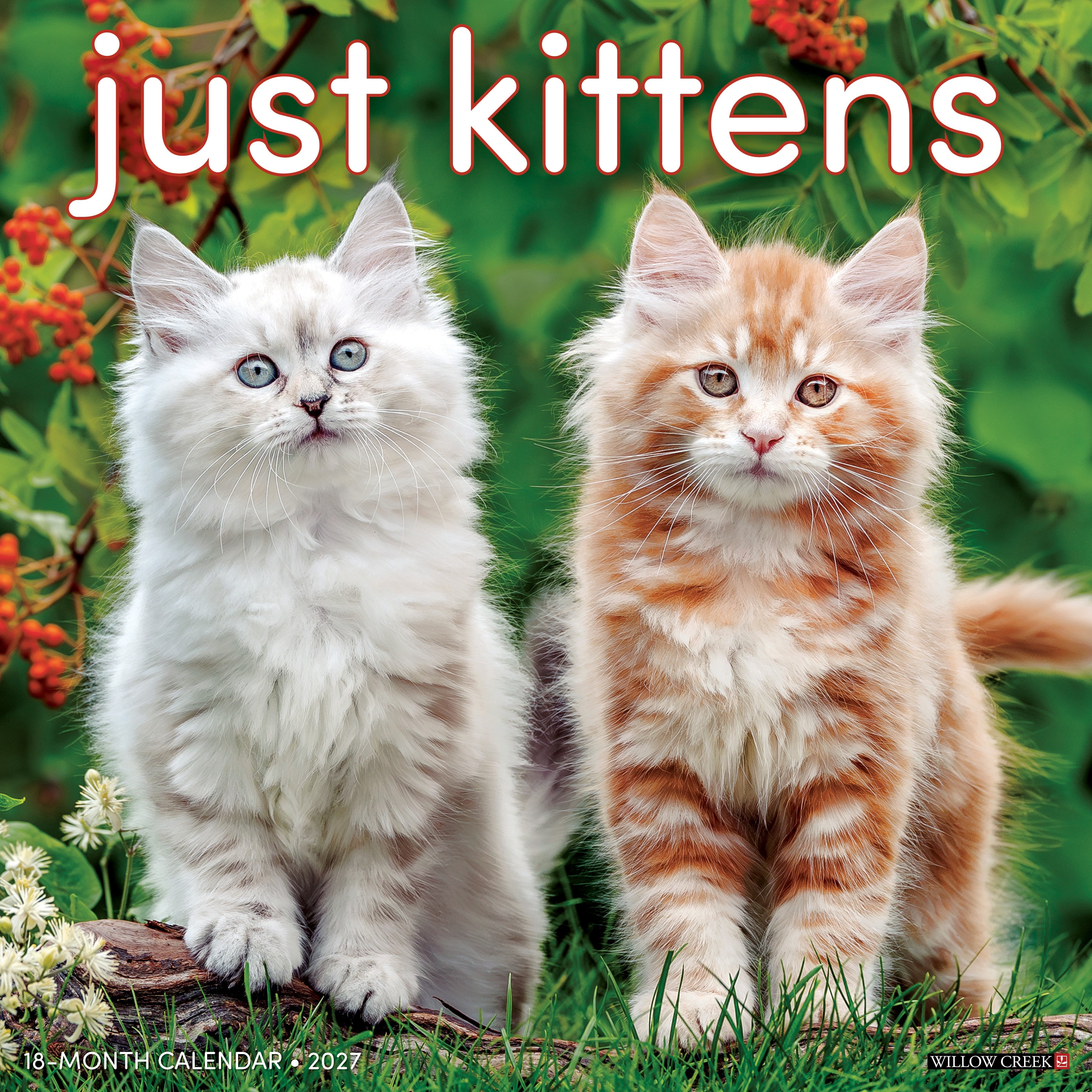 Willow Creek Press, Kittens 2027 Wall Calendar