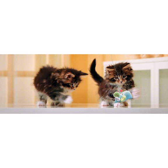 Kittens Lenticular Motion Bookmark/Ruler by Moovie Studio