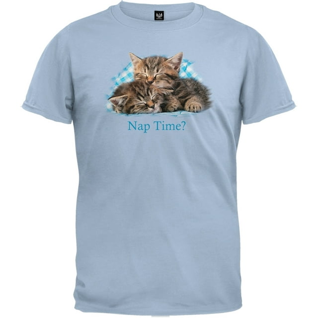 Kittens On Blue Gingham Light Blue T-Shirt - X-Large