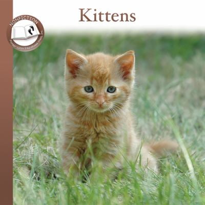 Pre-Owned Kittens (Paperback) 1584533633 9781584533634