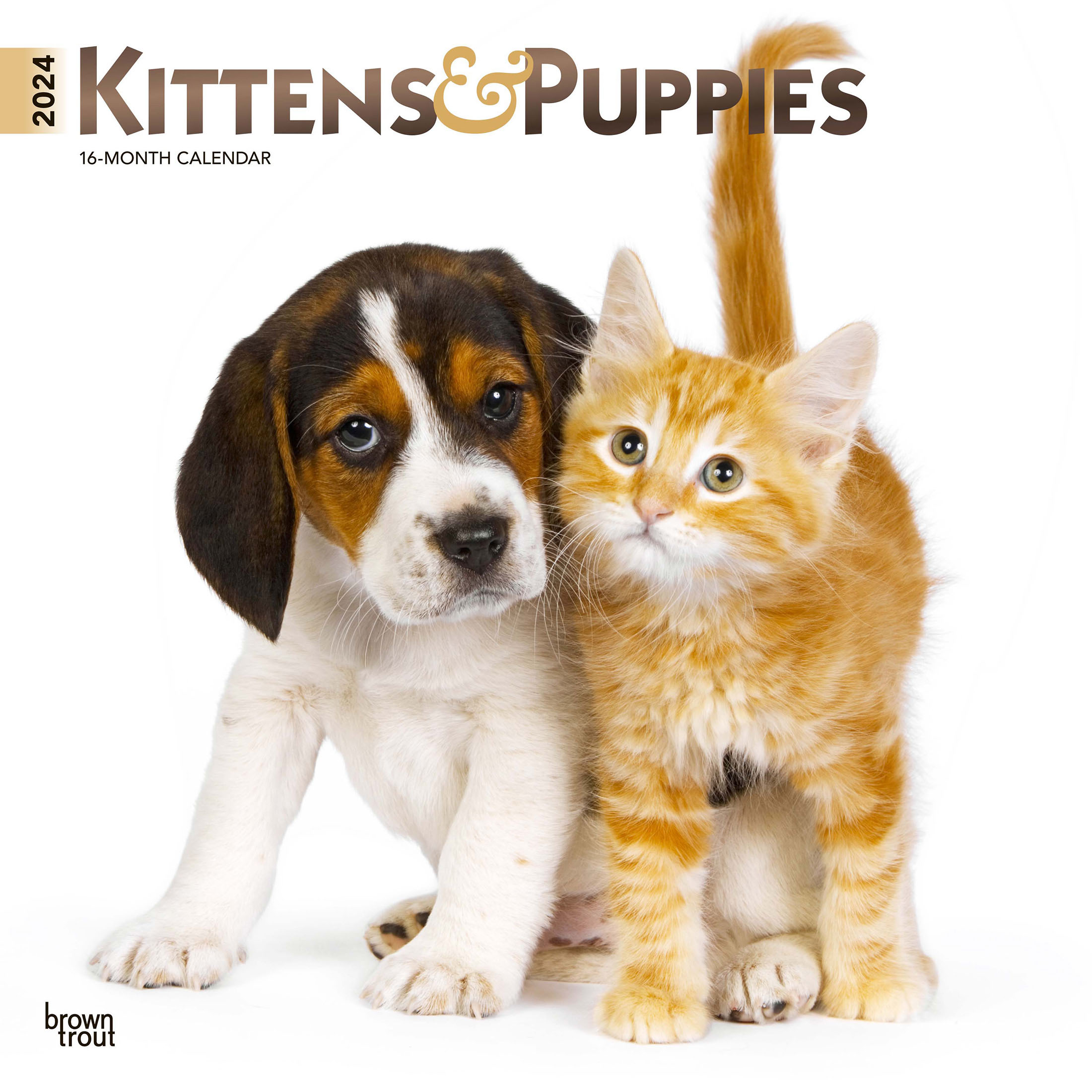 Kittens & Puppies 2024 12x24" (Hanging) Wall Calendar BrownTrout