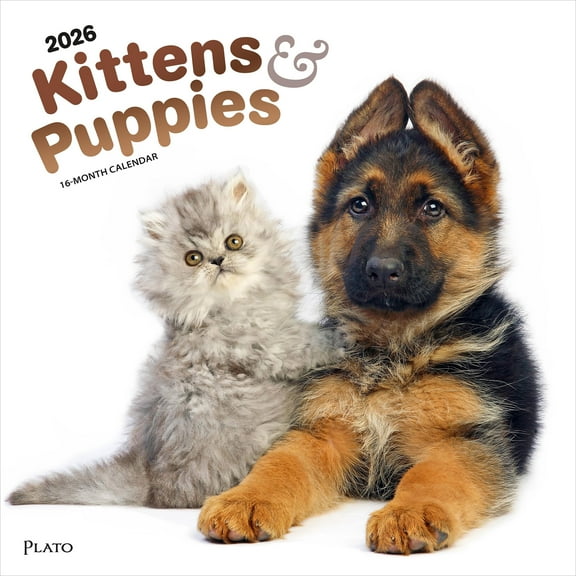 Kittens & Puppies | 2026 12x24" (Hanging) Monthly Square Wall Calendar | Plato