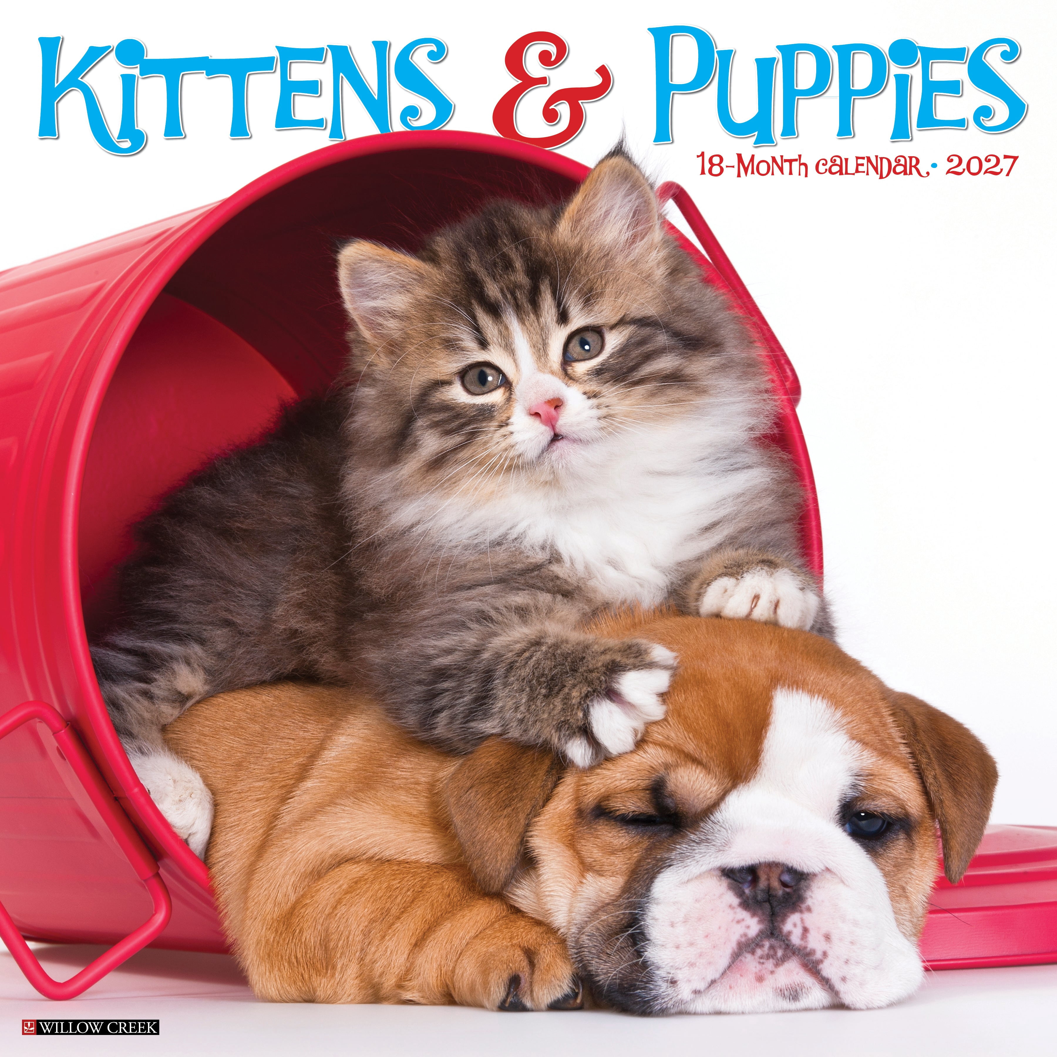 Willow Creek Press, Kittens & Puppies 2027 Wall Calendar