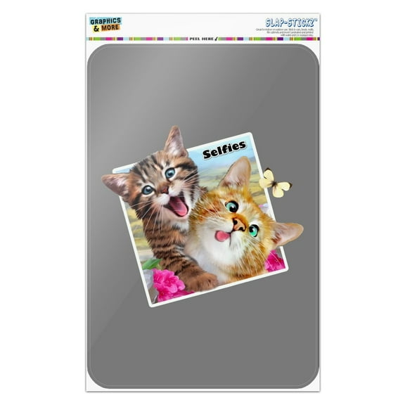Kittens Selfie Picture Home Business Office Sign