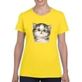thumbnail image 1 of Kittens Staring T-Shirt Women -Kayomi Harai Designs, Female 4X-Large, 1 of 4