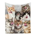 thumbnail image 1 of Kittens Throw Blanket, Licking Cats with Funny Faces Whimsical Furry Friends Pets Animals Love, Flannel Fleece Accent Piece Soft Couch Cover for Adults, 50" x 60", Grey Pale Brown Taupe, by Ambesonne, 1 of 4