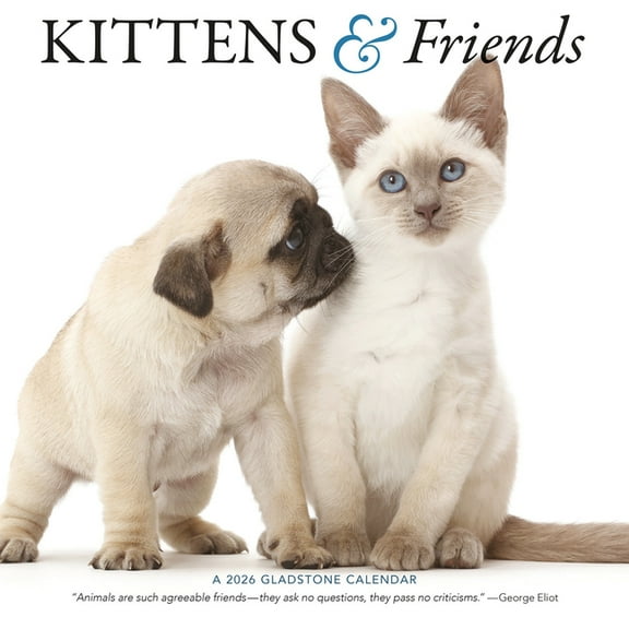 Kittens & Friends: 12x12 Wall, (Paperback)