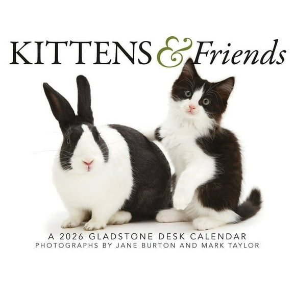 Kittens & Friends: Boxed, (Paperback)