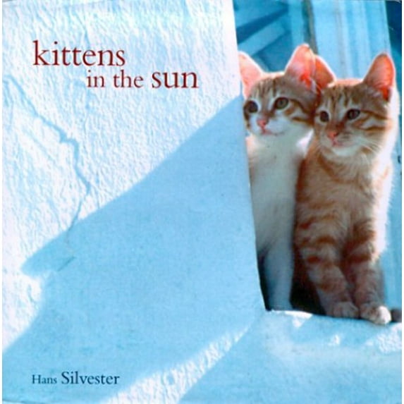 Pre-Owned Kittens in the Sun (Hardcover) 081182571X 9780811825719