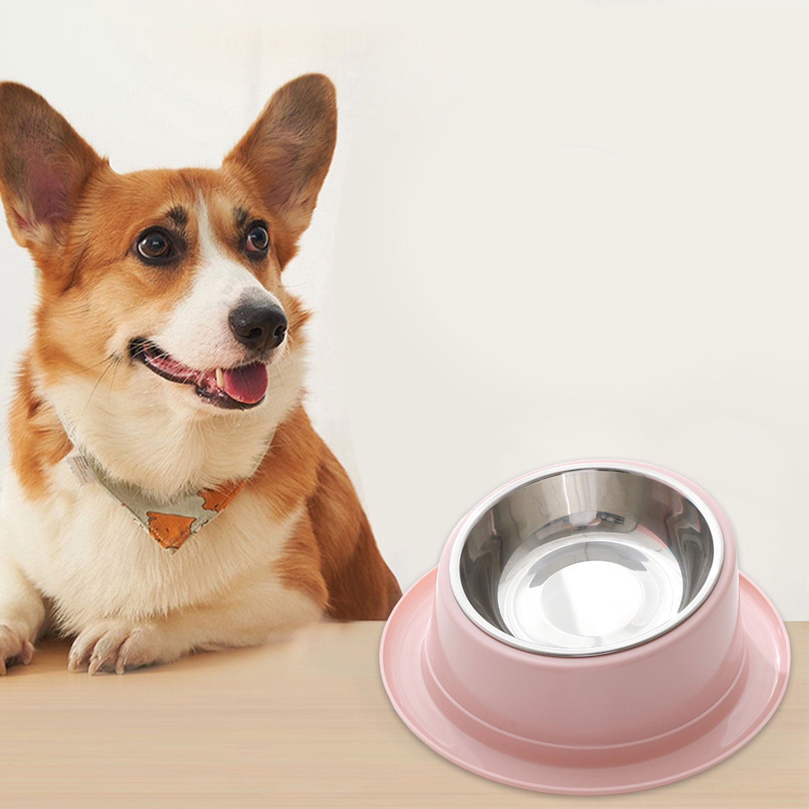 Kitty Bowl With Non Spill Edge Raised Dog For Cat Feeder Food Water