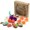 thumbnail image 1 of Kitty City, Cat Toys, Deluxe Cat Toy Box, Multi- Color, 15 Piece Set, 1 of 11