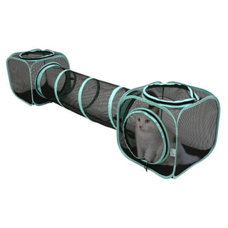 Cat Toy Screen