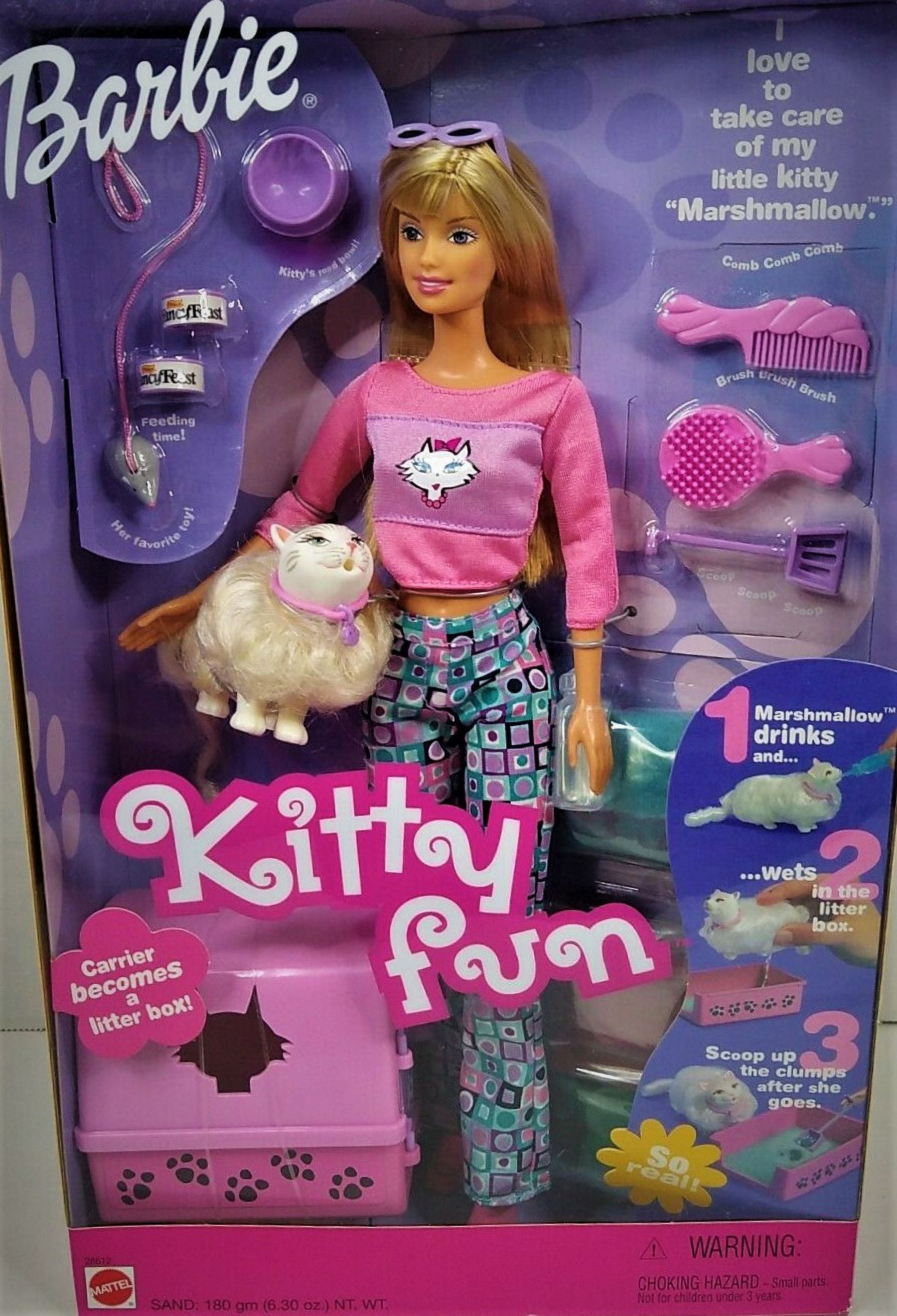 Kitty Fun Barbie Doll Play Set with Marshmallow the Cat 2000 Mattel 28612