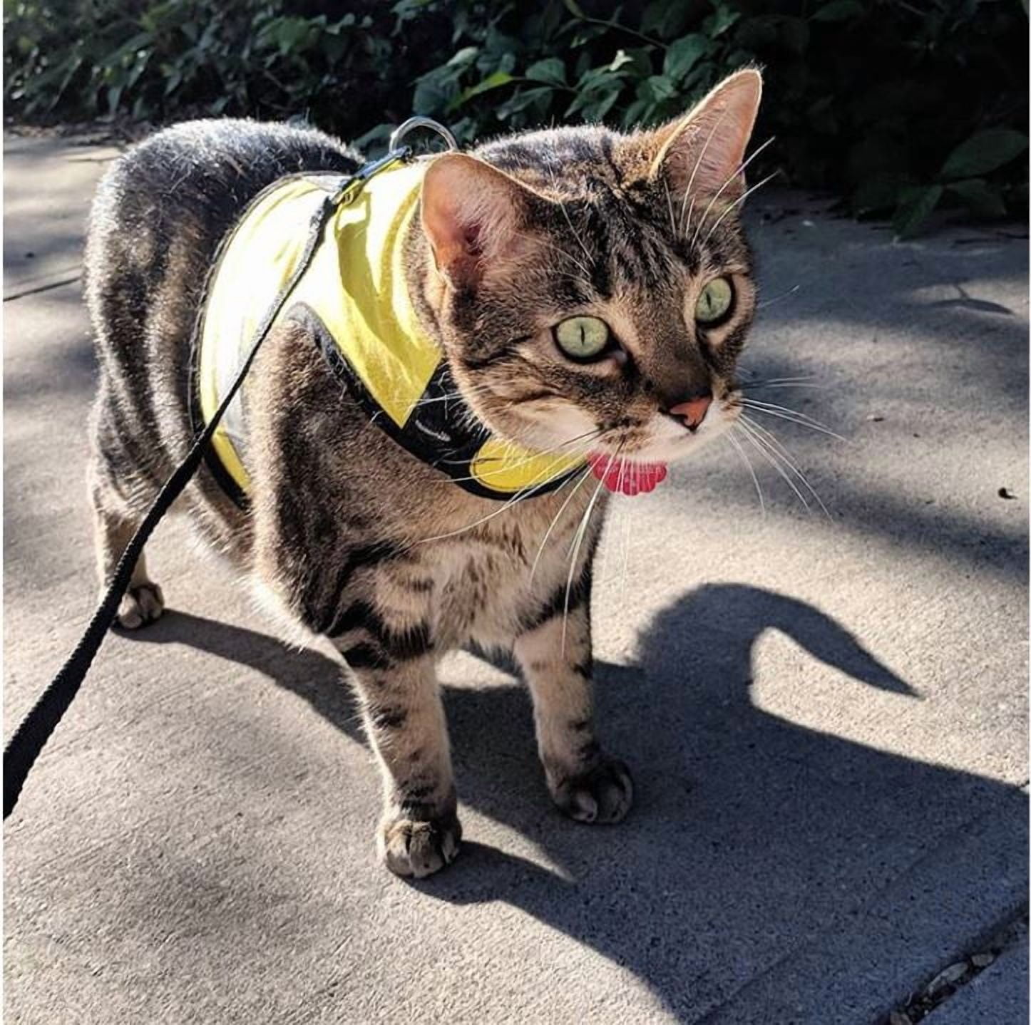 Kitty Holster Reflective Safety Harness (Made in USA) Color: Sunshine Yellow, Size: M/L