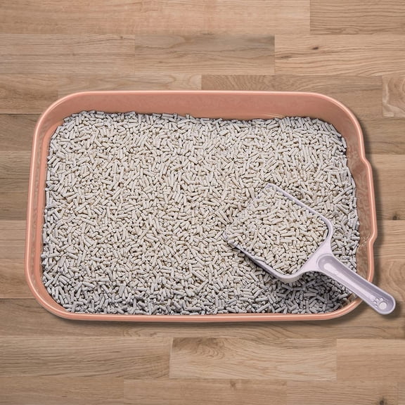 Kitty Litter Box Starter Kit - Small Cat Litter Pan Without Lid, Litter Mat, Scoop and Bowl for Kitten Within 3 Months (PinkScoop Set)
