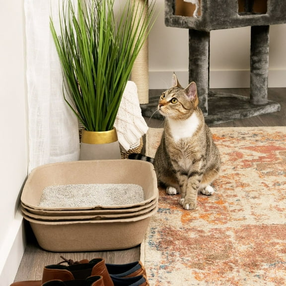 Kitty Sift Eco-Friendly Disposable Litter Box Large (Pack of 6)