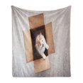 thumbnail image 1 of Kitty Soft Flannel Fleece Blanket, Top View Picture of a Little Baby Cat in a Cardboard Box Pet Lover Themed Photo, Cozy Plush for Indoor and Outdoor Use, 70" x 90", Taupe and Camel, by Ambesonne, 1 of 5