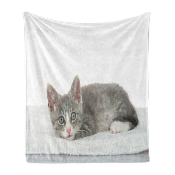 Kitty Soft Flannel Fleece Throw Blanket, Charming Little Animal Laying with Head on Paws, Cozy Plush for Indoor and Outdoor Use, 60" x 80", Pale Grey White, by Ambesonne