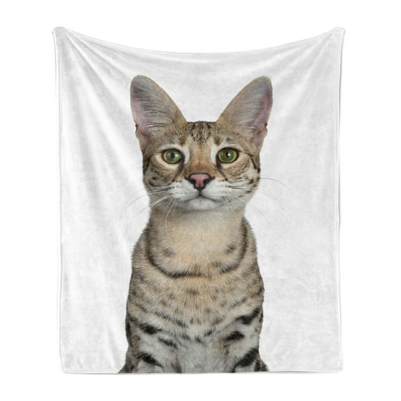 Kitty Soft Flannel Fleece Throw Blanket, Head Shot of a Cool Young Cat Facing Front, Cozy Plush for Indoor and Outdoor Use, 50" x 60", Dark Sand Brown White, by Ambesonne