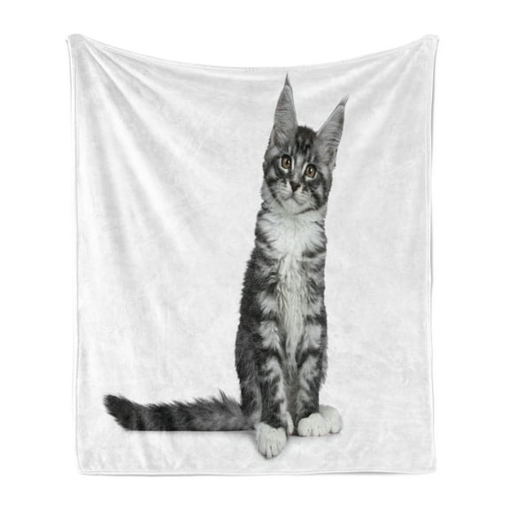 Kitty Soft Flannel Fleece Throw Blanket, Pattern of Single Animal Staring Straight into the Camera, Cozy Plush for Indoor and Outdoor Use, 50" x 60", Charcoal Grey Pale Taupe, by Ambesonne
