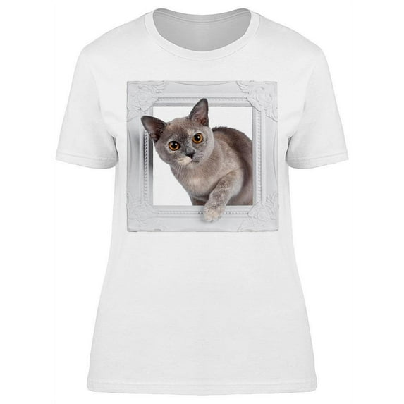 Kitty Trough A Frame T-Shirt Women -Image by Shutterstock, Female Small