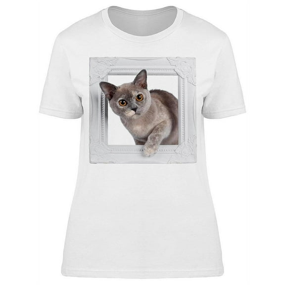 Kitty Trough A Frame T-Shirt Women -Image by Shutterstock, Female x-Large