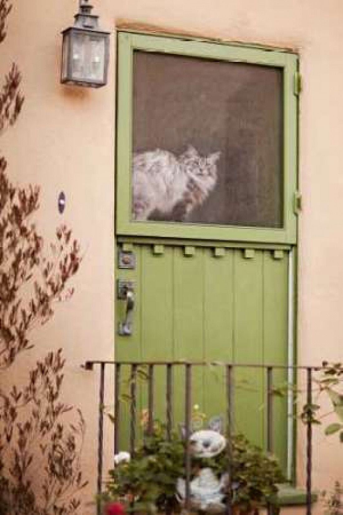 Kitty in the Window Canvas Art - Karyn Millet (12 x 18)