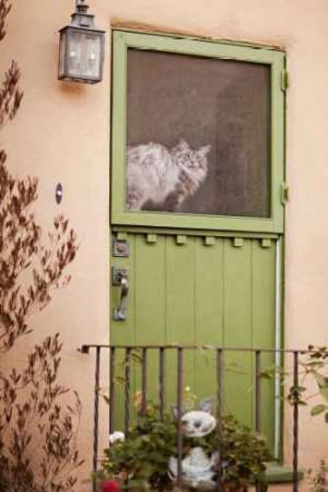 Kitty in the Window Canvas Art - Karyn Millet (24 x 36)