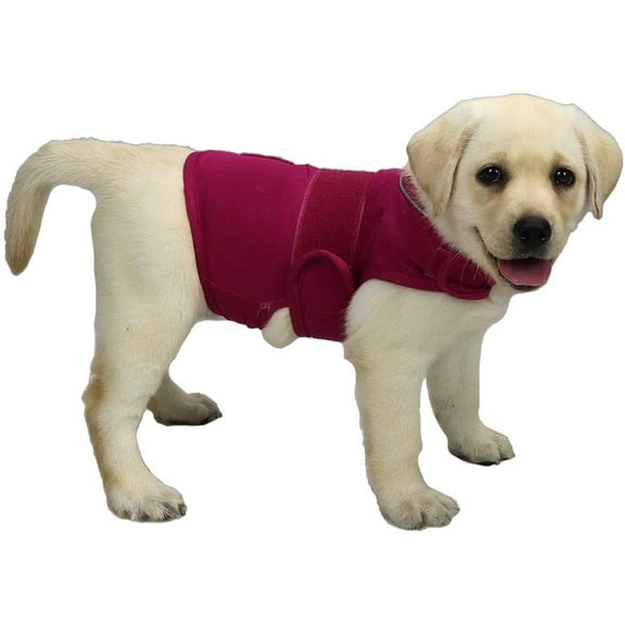 KittyStar Dog Anxiety Vest Jacket Warp,Puppy Calming Coat Anxiety Relief (S,Rose Red)