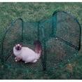 thumbnail image 1 of Kittywalk Curves 2 Outdoor Cat Enclosure, Green, 48" x 18" x 24", 1 of 4