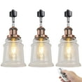 thumbnail image 1 of Kiven 3-Light H-Type Track Lighting Heads,Modern Track lighting Pendant with Flexible Gooseneck, Dimmable Decorative Track Lighting Fixture,Copper Red Finish, 1 of 7