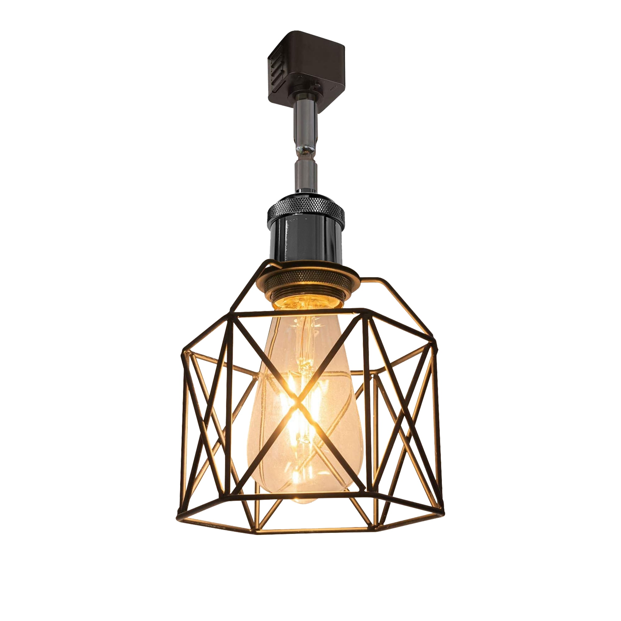 Kiven H Type Track Lighting Heads, Vintage Loft Design Track Lighting Heads with Flexible Light Arm, Black Basket Cage Track Mount Light for Kitchen Island Hotel Shop Bar, Pearl Black Socket - 1 Pack