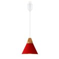 thumbnail image 1 of Kiven J-Type Track Lighting Light fixture,Red Modern Metal Juno Track Pendant Light with Built-in Cable Wrapper, Adjustable Length for Bedroom Kitchen Home Lighting, 1-Light, 1 of 7