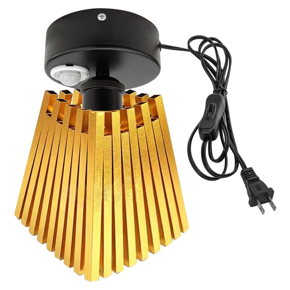 Kiven Motion Sensor Ceiling Light, Motion Activated Plug-in Ceiling lamp, Modern Iron Motion Lights, Adjustable Delay Time for Laundry Bathroom Stair Hallway,Gold Finish TB3322