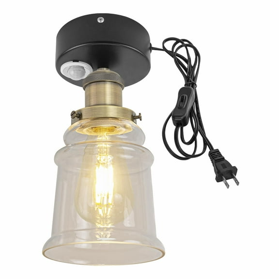 Kiven Motion Sensor Ceiling Light, Motion Activated Plug-in Ceiling lamp, Farmhouse Glass Motion Lights Indoor, Adjustable Delay Time for Stair Hallway Laundry Bathroom,Bronze Finish