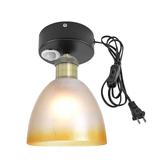 Kiven Motion Sensor Ceiling Light, Motion Activated Plug-in Ceiling lamp, Modern Motion Lights with Glass Globe, Adjustable Delay Time for Laundry Bathroom Stair Hallway,Bronze Socket