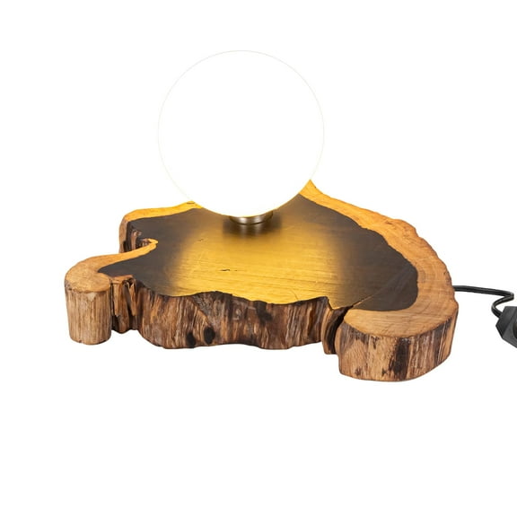 Kiven Plug in Bedside Lamp, Nightstand Lamp with Natural Wooden Base, Wooden Bookshelf Lamp, Small Table Lamp with Frosted Acrylic Lampshade for Bookshelf Reading Decoration G9 Socket TD0804