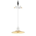 thumbnail image 1 of Kiven Retrofit Recessed Lighting with E26 Power Outlet Adapter, 4/5/6 Inch Replacement Conversion Kit Adjustable Height,1-Light Farmhouse Pendant Lighting for Home Kitchen Island TB2773-MW, 1 of 6