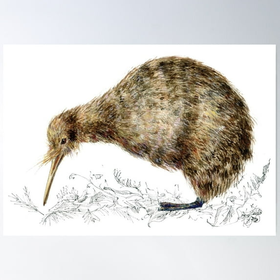 Kiwi Bird Poster Wall Art, Modern Wall Decor For Living Room Bedroom, 8x12 UNFRAMED