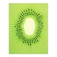 thumbnail image 1 of Kiwi Fruit Slice Minimalist Kitchen Artwork Interior Decor Extra Large XL Wall Art Poster Print, 1 of 5
