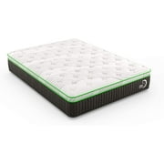 Kiwi Firm Twin Natural Mattress/ 12.5” Memory Foam Feel/Organic/Bed-in-a-Box/Made in USA