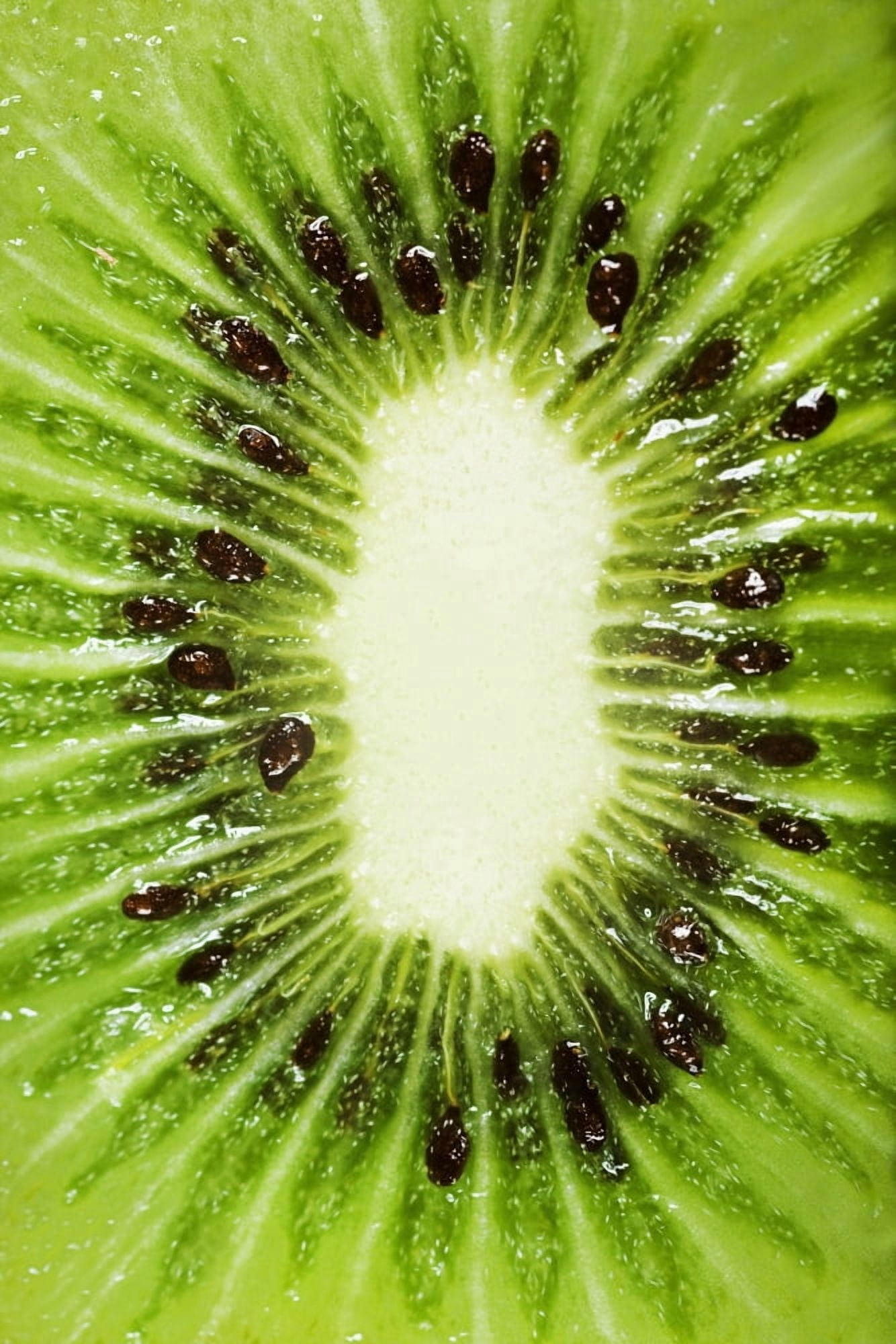 Kiwi Slice Canvas Art - Chris and Kate Knorr Design Pics (22 x 34)