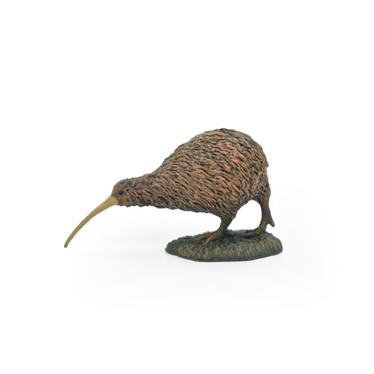 Realistic Kiwi Toy, Kee Wee Bird Figure, Educational Model, Hand