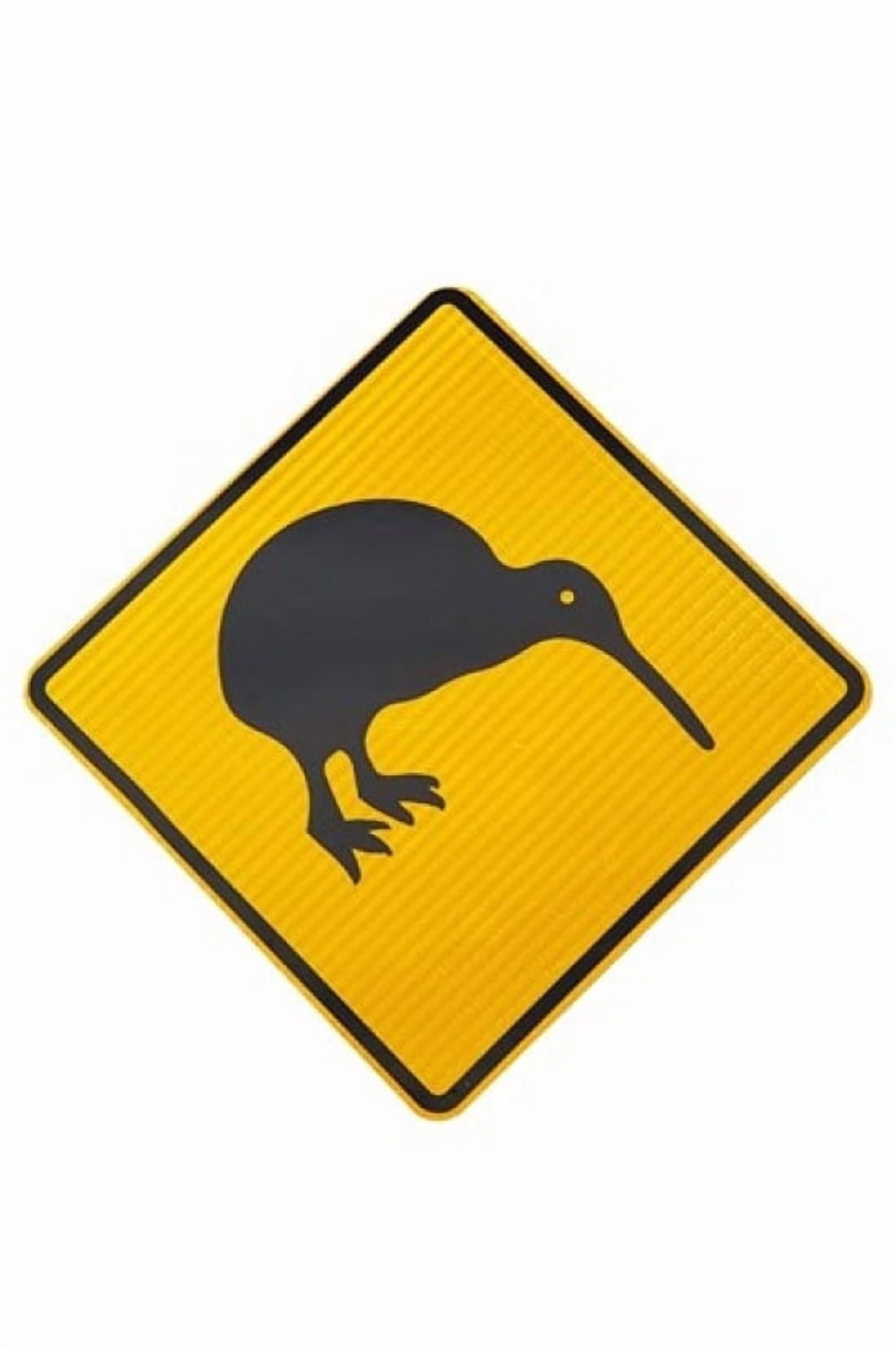 Kiwi Warning Sign New Zealand Canvas Art - David Wall DanitaDelimont (24 x 36)