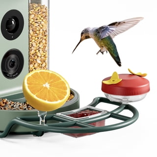 Kiwibit Feeder Accessory Kit for Smart Bird Feeder, 4-in-1 with Hummingbird & Jelly Holders, No Feeder Included